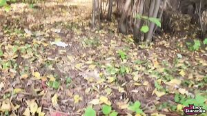 My Slut Stepsister - I caught a strange girl masturbating in a forest park and fucked her in her mouth and pussy!