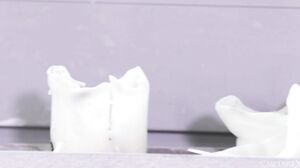 Lily Blossom - No Skirt Today 2