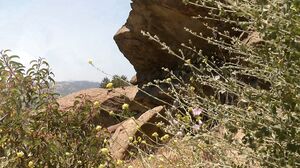 Bree Daniels - BareMaidens - The Hidden Hole