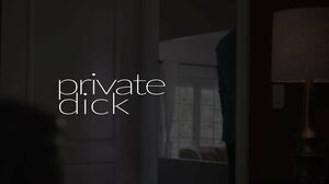 Mina Luxx - Private Dick in HD