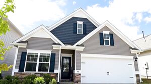 Silvia Soprano - XVideos - Sugardaddy Domination