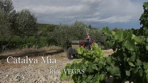 La Saison Des Vendanges (Made In France) 2017 WEB-DL