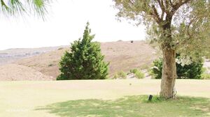 Freya Mayer - Summer Activities