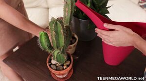 Alison Lip And Nicole - Beautyangels