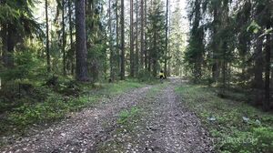 LegalPorno - Lika Li