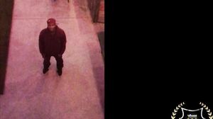 RomeMajor - Jaylene Rio