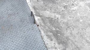 Yaresita Small - Corrida Rápida En El Trabajo, Todo Por un Aumento