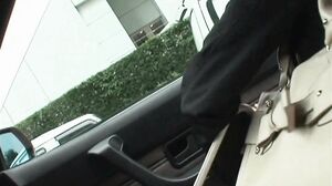 Radical - Japanese cutie with tiny tits and a hairy bush sucks and fucks