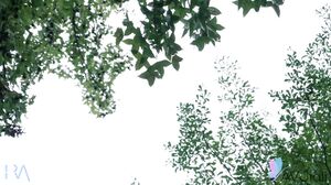 Chinese Teen Han Yan Gets Interviewed Fucked Deeply