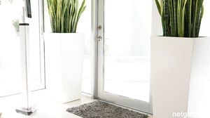 NetGirl - Yelena (Xxlayna Marie)