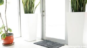 Sophia Burns - Latina With A Perfet Body Ambushed