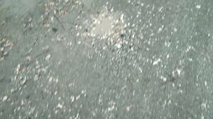 Layla Scarlett - That's Fucking Sleepover They'll Never Forget