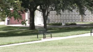 Hand Lotion Studios - Brunette teen flashing her small titties