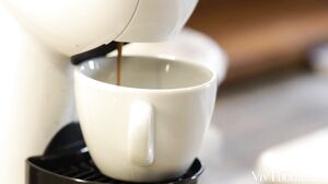 Stella Cardo And Ophelia Dust Luscious Curves