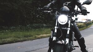 SexArt - Love Wheels