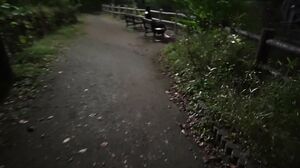 Fc2 ppv 4566499 - 1080p