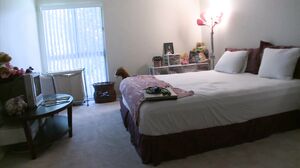 Lesbian Desire - Celeste Star and Nikki Coxxx in reality tv sex show!