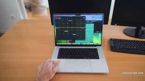 LifeSelector - Shalina Devine - Opportunity Knockers