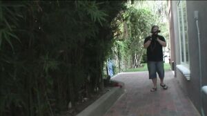 Thot Factory - Young charming brunette banged with big cock