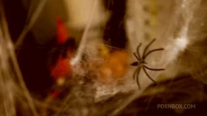 LegalPorno - Dickerector - Skye Wood