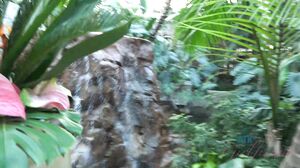 Rachel James - Las Vegas 2 part 4