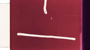 Matheus Castro - Sexo Com Brasileira Da Bunda Grande Durante Festa a Fantasia