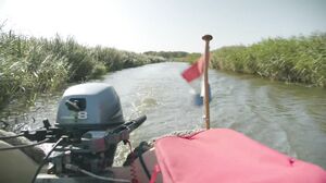 MeidenVanHolland – Daphne Natte Daphne Deint Hard Op En Neerf