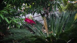 Sudipa With Two Malik Uncut (2025) GoddesMahi Hindi Hot Short Film