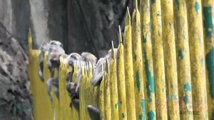 ATKGirlfriends - Compilation 12