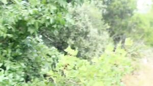 JacquieEtMichelTV – Pam, is walking in Ardèche!