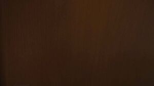 FSBK-007 Sexual entertainment idol special event. Tragic idol sold to evil management and preyed on otaku. 5P gangbang. Amami Mea.