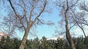 Hunt4K - Amalia Davis