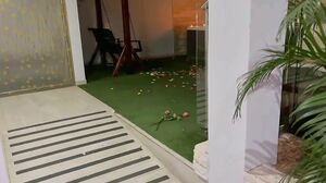 Jenifer Play - Me Declara Su Amor Y Terminamos Follando Y Tragándome La Leche Con Vino ????