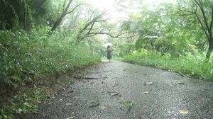 MSE-001 Matching App Lady Izumi Moriya