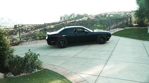 Lysagna Del Ray - A Great Dealer