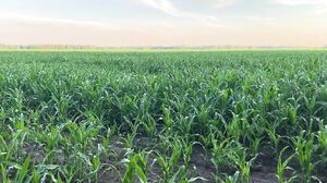 JuliaSayNo - PornHub #22