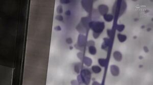 MFYD-005 The ultimate pseudo-romance: We took a peek into a brothel for women.