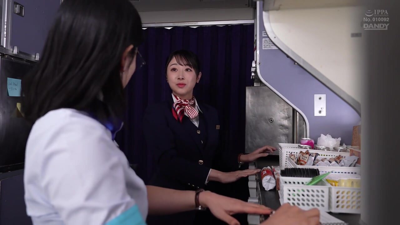 DANDY-982 I invited the beautiful flight attendant who secretly served me to a hotel and had sex with her raw, and she turned out to be a slut who kept asking for more VOL.5