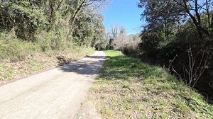 JacquieEtMichelTV - Luxymin At The Bend In A Path Luxymin Reveals Itself