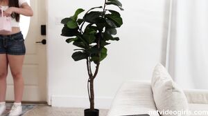 NetVideoGirls - Lily 3