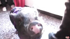 PutaLocura - Shione SPANISH XXX