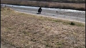 KTKL-135 Flat-chested, tsundere bratty gal A