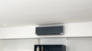 Hornyhorsee - My Neighbors Are Bbc Lovers