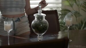 PureTaboo - Rebel Lynn - To The Letter