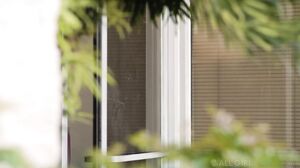 AllGirlMassage - Lily Labeau And Nicole Vaunt