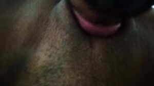 Ultra Close-up Pussy Licking - Accounter Adventures