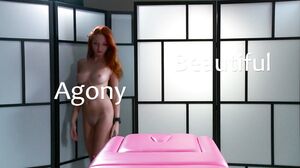 Red Fox Beautiful Agony