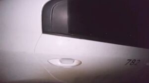 NutIsGolden - I Sucked the Taxi Driver for the Fare because I Forgot the Money