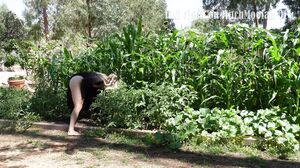 Mitch Moolah - PornHub #14