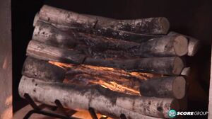 Dallas Dixon - Mrs. Dixon & The Dick